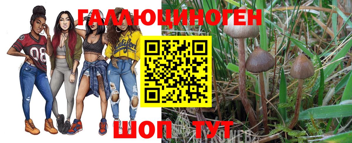 Галлюциногенные грибы мицелий  Вход с VPN  что такое наркотик  Кострома 