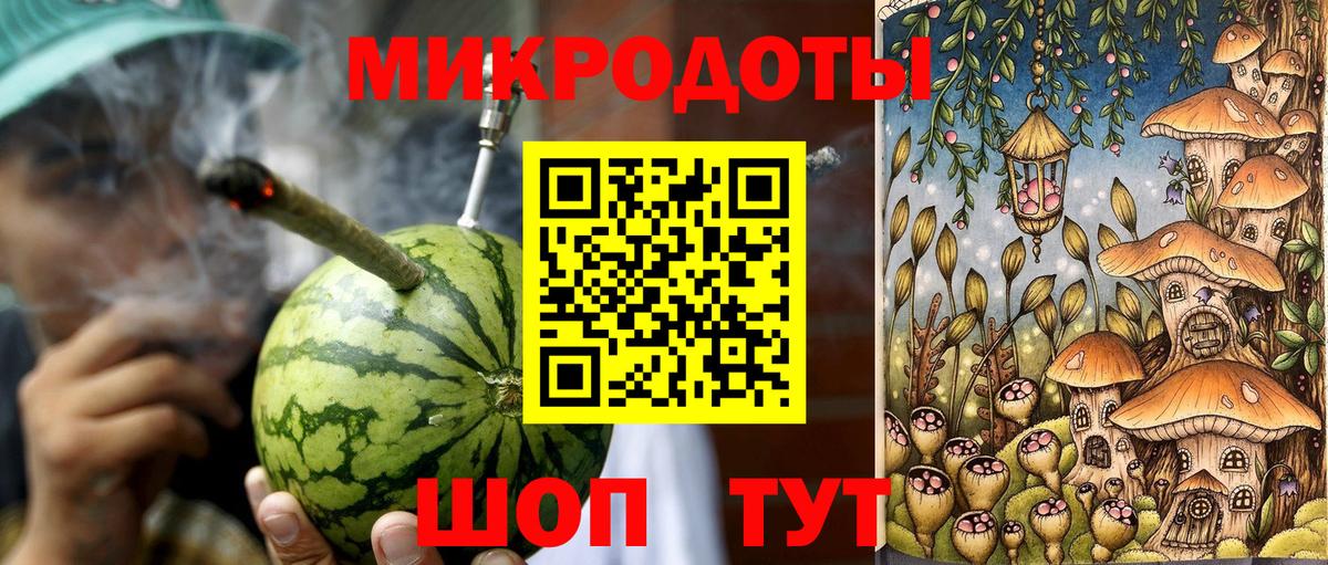 Псилоцибиновые грибы Psilocybine cubensis Кострома