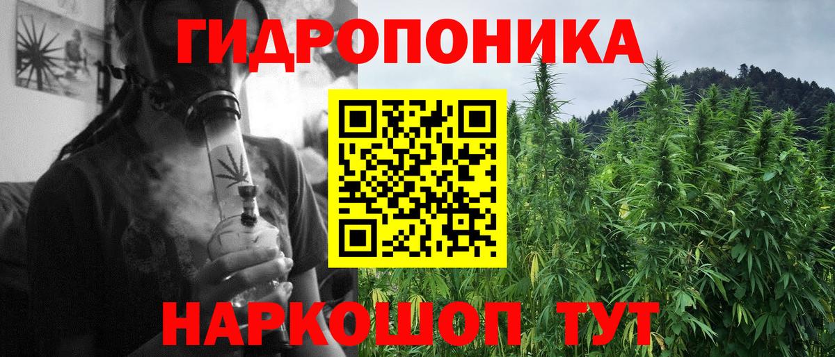 Марихуана White Widow  Вход с VPN  Шишки марихуана Ganja  Кострома  Шишки марихуана Ganja 
